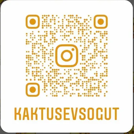 Kaktues Ev Soeguet Feriehus Marmaris